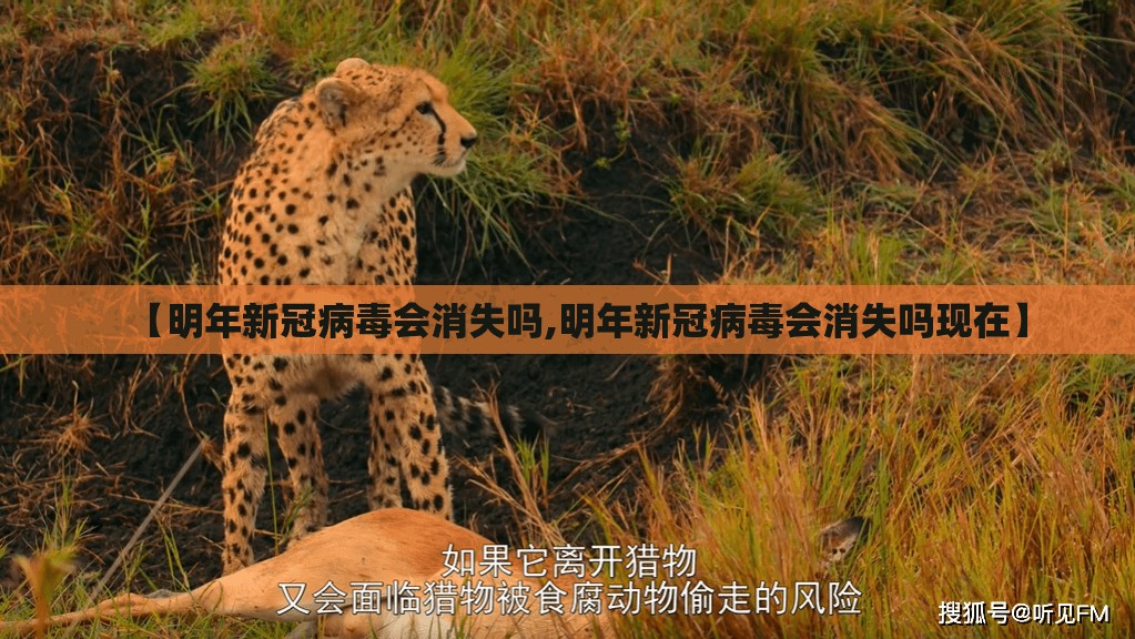【明年新冠病毒会消失吗,明年新冠病毒会消失吗现在】 【明年新冠病毒会消失吗,明年新冠病毒会消失吗现在】