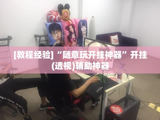 [教程经验]“随意玩开挂神器”开挂(透视)辅助神器