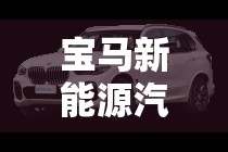 宝马新能源汽车价格表(宝马新能源汽车价格表及图片) 宝马新能源汽车价格表(宝马新能源汽车价格表及图片)