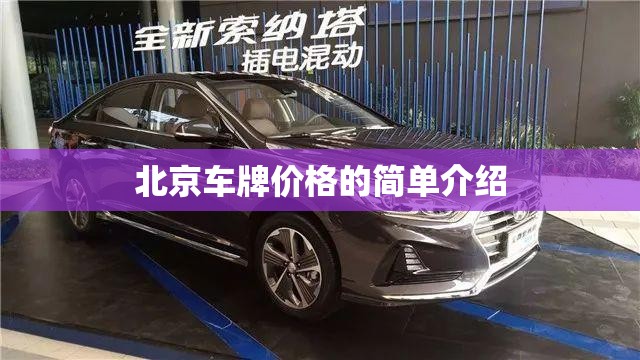 北京车牌价格的简单介绍 北京车牌价格的简单介绍