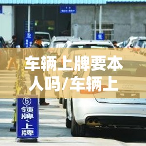 车辆上牌要本人吗/车辆上牌要本人吗要多久 车辆上牌要本人吗/车辆上牌要本人吗要多久