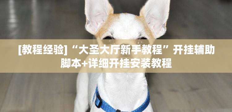 [教程经验]“大圣大厅新手教程	”开挂辅助脚本+详细开挂安装教程