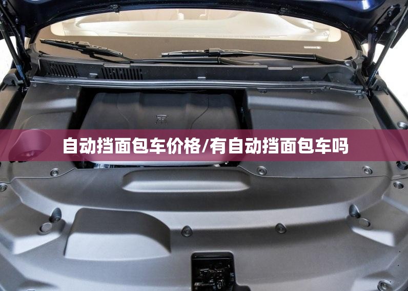 自动挡面包车价格/有自动挡面包车吗 自动挡面包车价格/有自动挡面包车吗