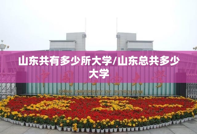 山东共有多少所大学/山东总共多少大学 山东共有多少所大学/山东总共多少大学
