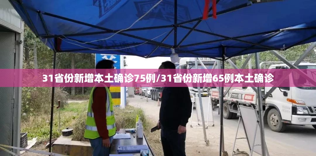 31省份新增本土确诊75例/31省份新增65例本土确诊