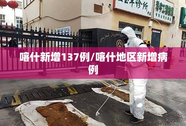 喀什新增137例/喀什地区新增病例