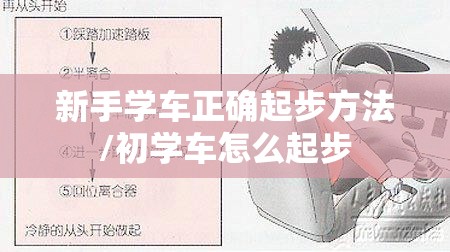 新手学车正确起步方法/初学车怎么起步