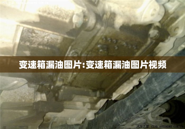 变速箱漏油图片:变速箱漏油图片视频