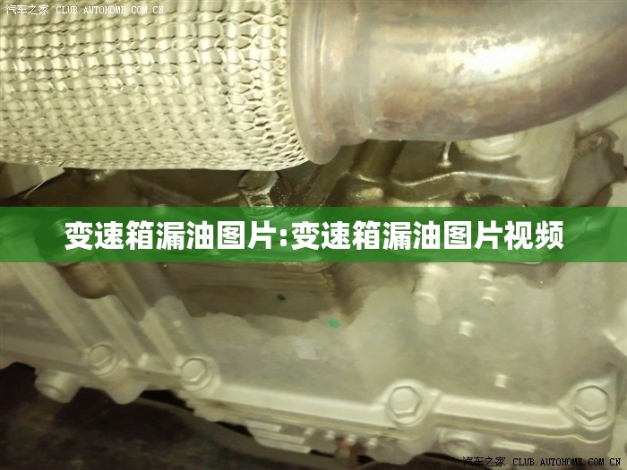 变速箱漏油图片:变速箱漏油图片视频