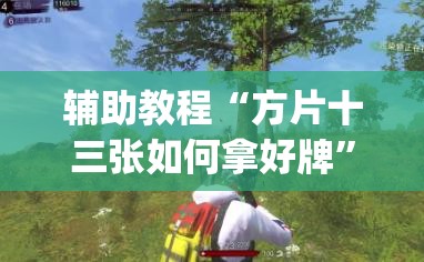 辅助教程“方片十三张如何拿好牌”开挂(透视)辅助神器