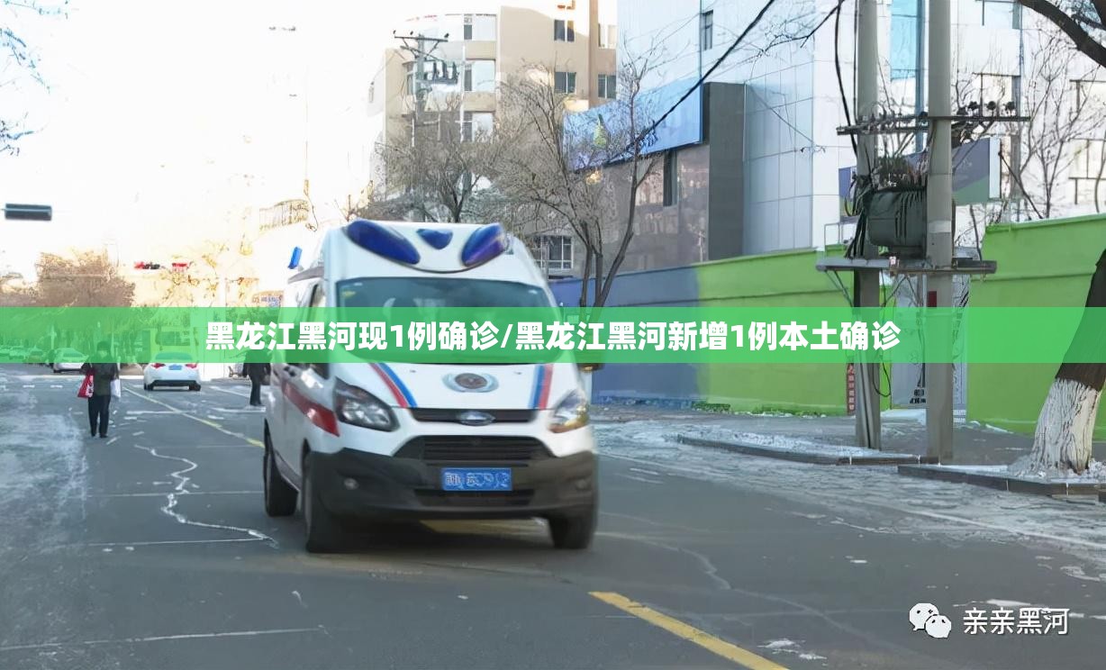 黑龙江黑河现1例确诊/黑龙江黑河新增1例本土确诊 黑龙江黑河现1例确诊/黑龙江黑河新增1例本土确诊