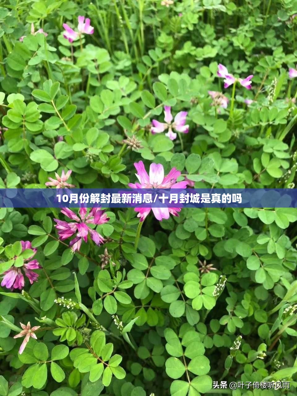 10月份解封最新消息/十月封城是真的吗 10月份解封最新消息/十月封城是真的吗