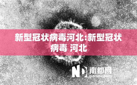 新型冠状病毒河北:新型冠状病毒 河北 新型冠状病毒河北:新型冠状病毒 河北