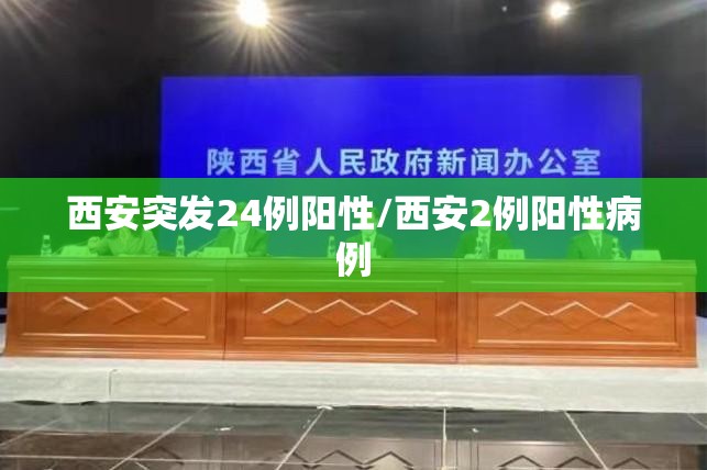 西安突发24例阳性/西安2例阳性病例