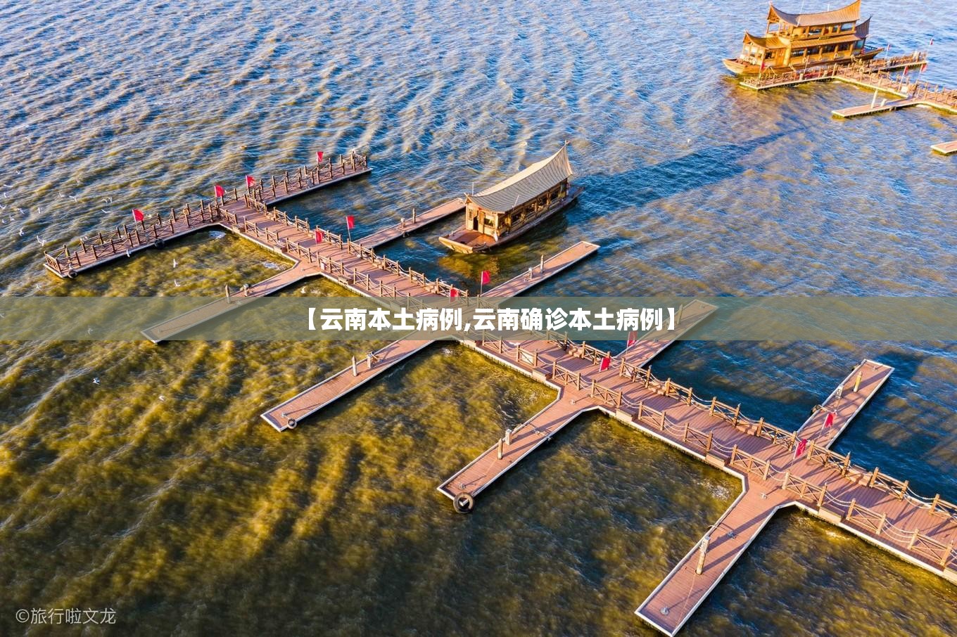 【云南本土病例,云南确诊本土病例】