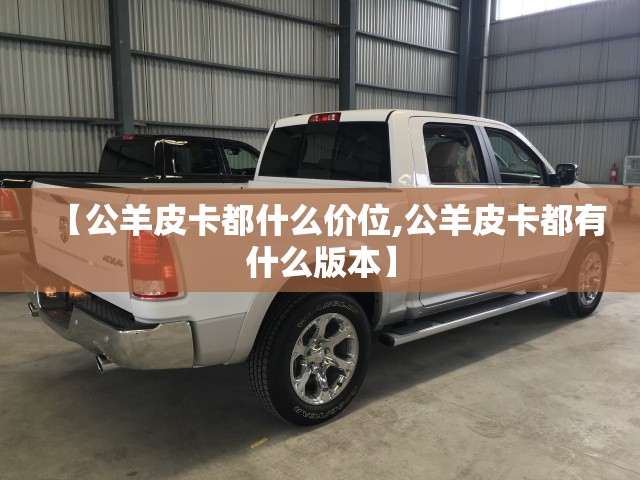 【公羊皮卡都什么价位,公羊皮卡都有什么版本】