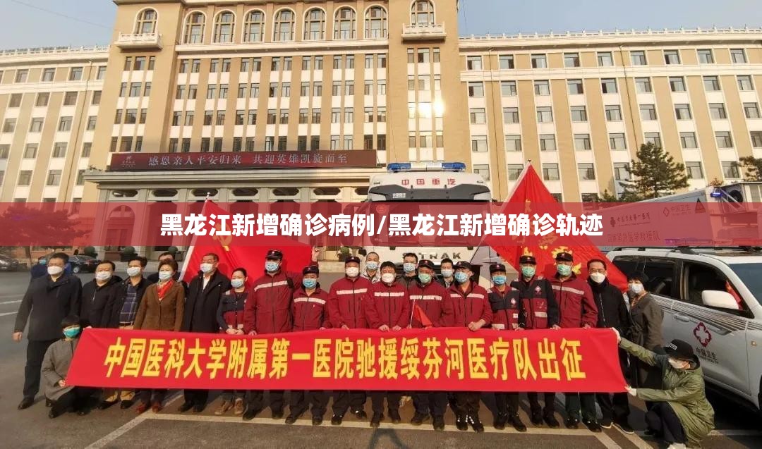 黑龙江新增确诊病例/黑龙江新增确诊轨迹 黑龙江新增确诊病例/黑龙江新增确诊轨迹