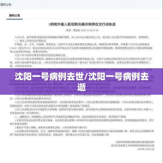 沈阳一号病例去世/沈阳一号病例去逝 沈阳一号病例去世/沈阳一号病例去逝