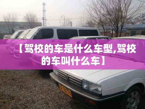 【驾校的车是什么车型,驾校的车叫什么车】