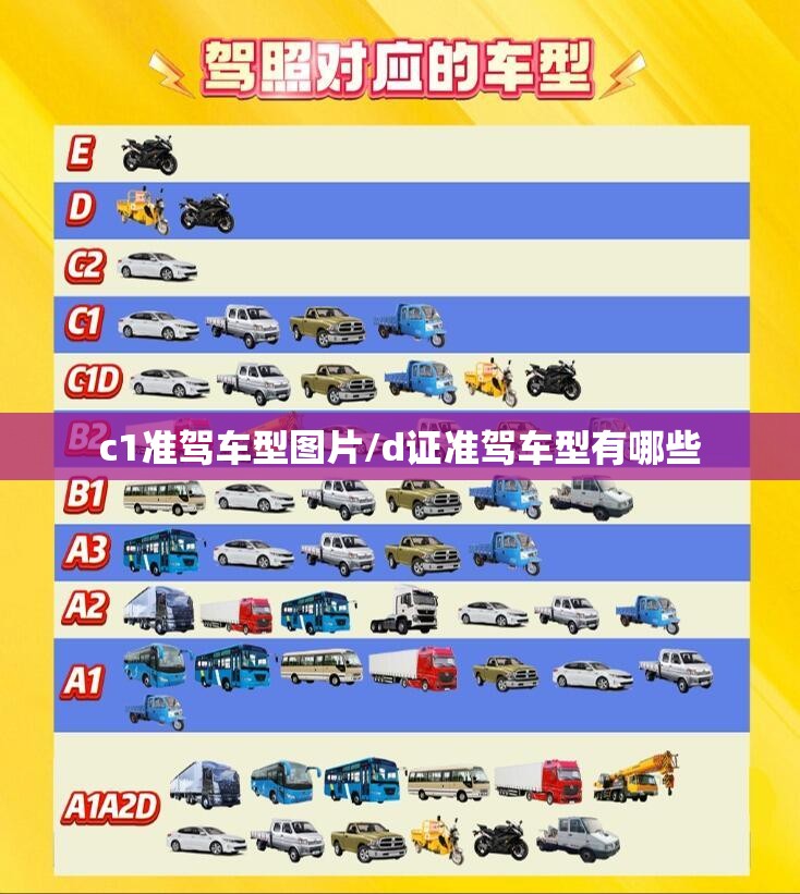 c1准驾车型图片/d证准驾车型有哪些 c1准驾车型图片/d证准驾车型有哪些