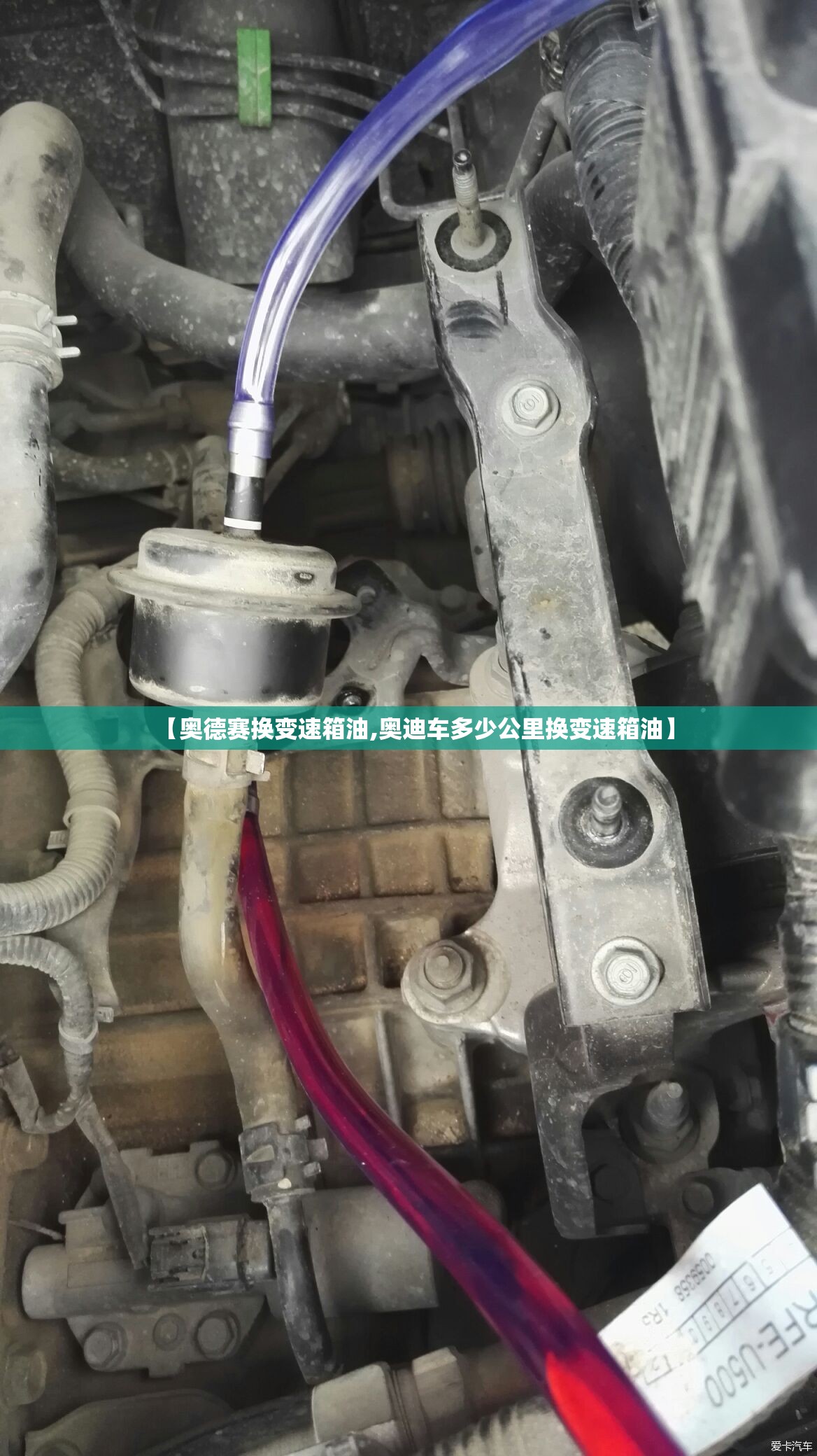 【奥德赛换变速箱油,奥迪车多少公里换变速箱油】
