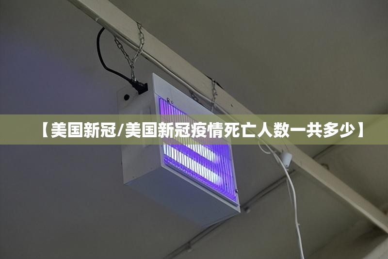 【美国新冠/美国新冠疫情死亡人数一共多少】