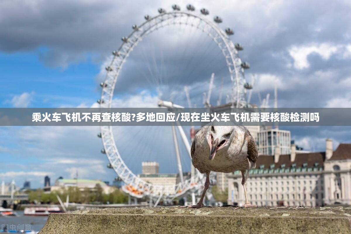乘火车飞机不再查核酸?多地回应/现在坐火车飞机需要核酸检测吗