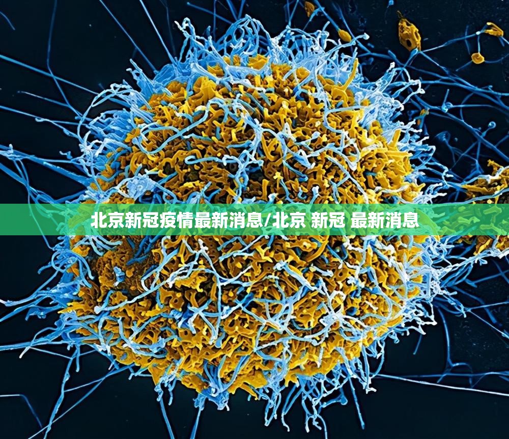 北京新冠疫情最新消息/北京 新冠 最新消息 北京新冠疫情最新消息/北京 新冠 最新消息