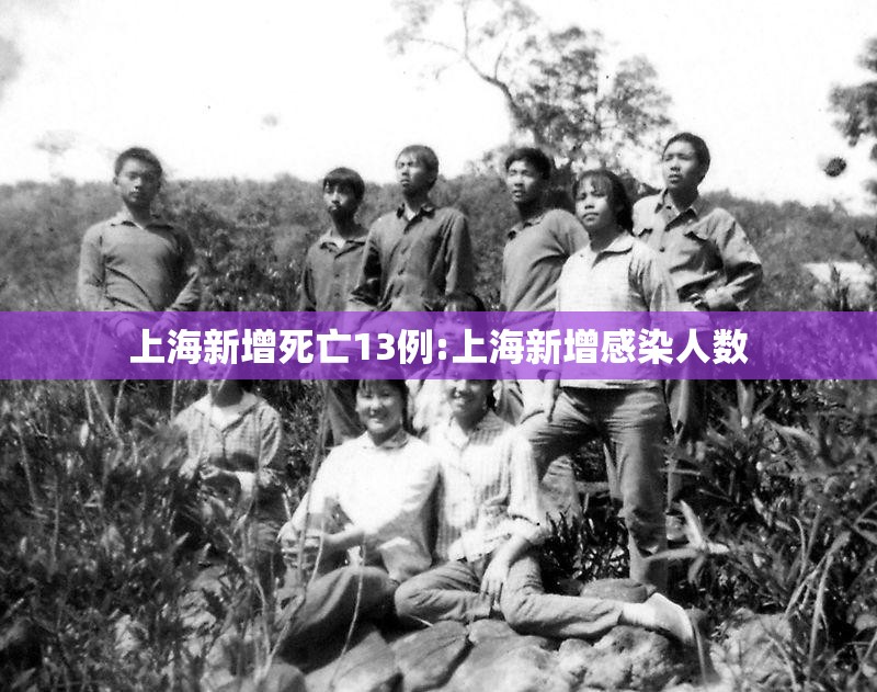 上海新增死亡13例:上海新增感染人数