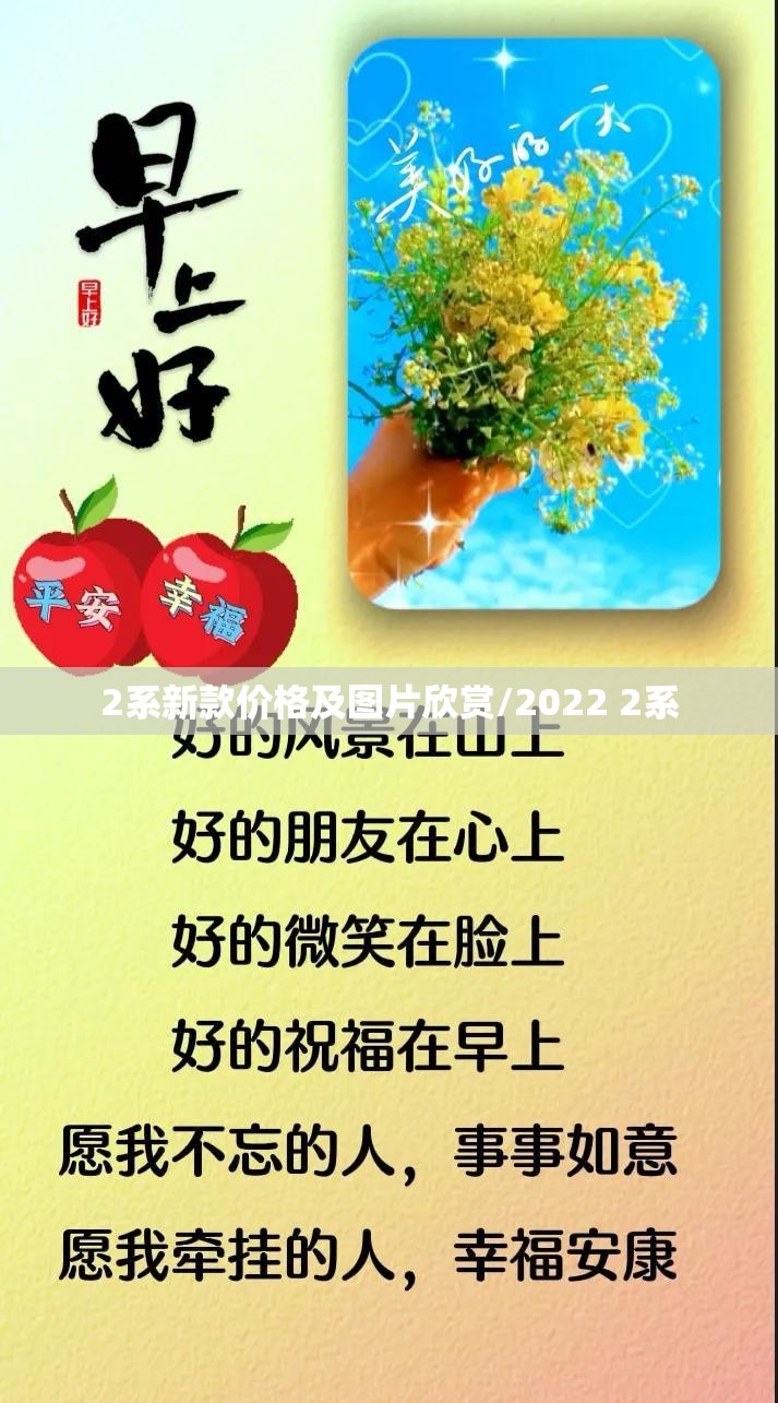 2系新款价格及图片欣赏/2022 2系 2系新款价格及图片欣赏/2022 2系