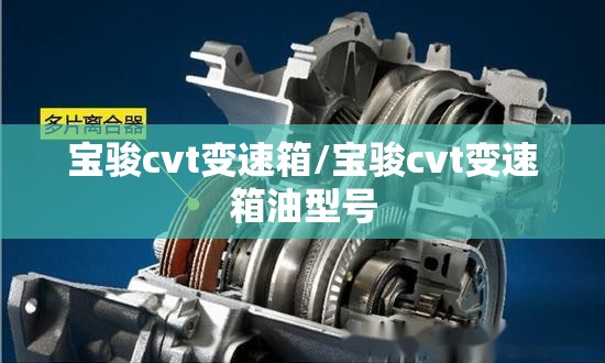 宝骏cvt变速箱/宝骏cvt变速箱油型号 宝骏cvt变速箱/宝骏cvt变速箱油型号