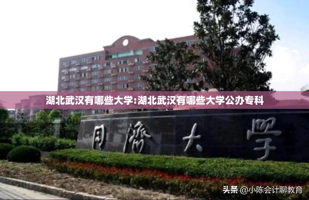 湖北武汉有哪些大学:湖北武汉有哪些大学公办专科 湖北武汉有哪些大学:湖北武汉有哪些大学公办专科