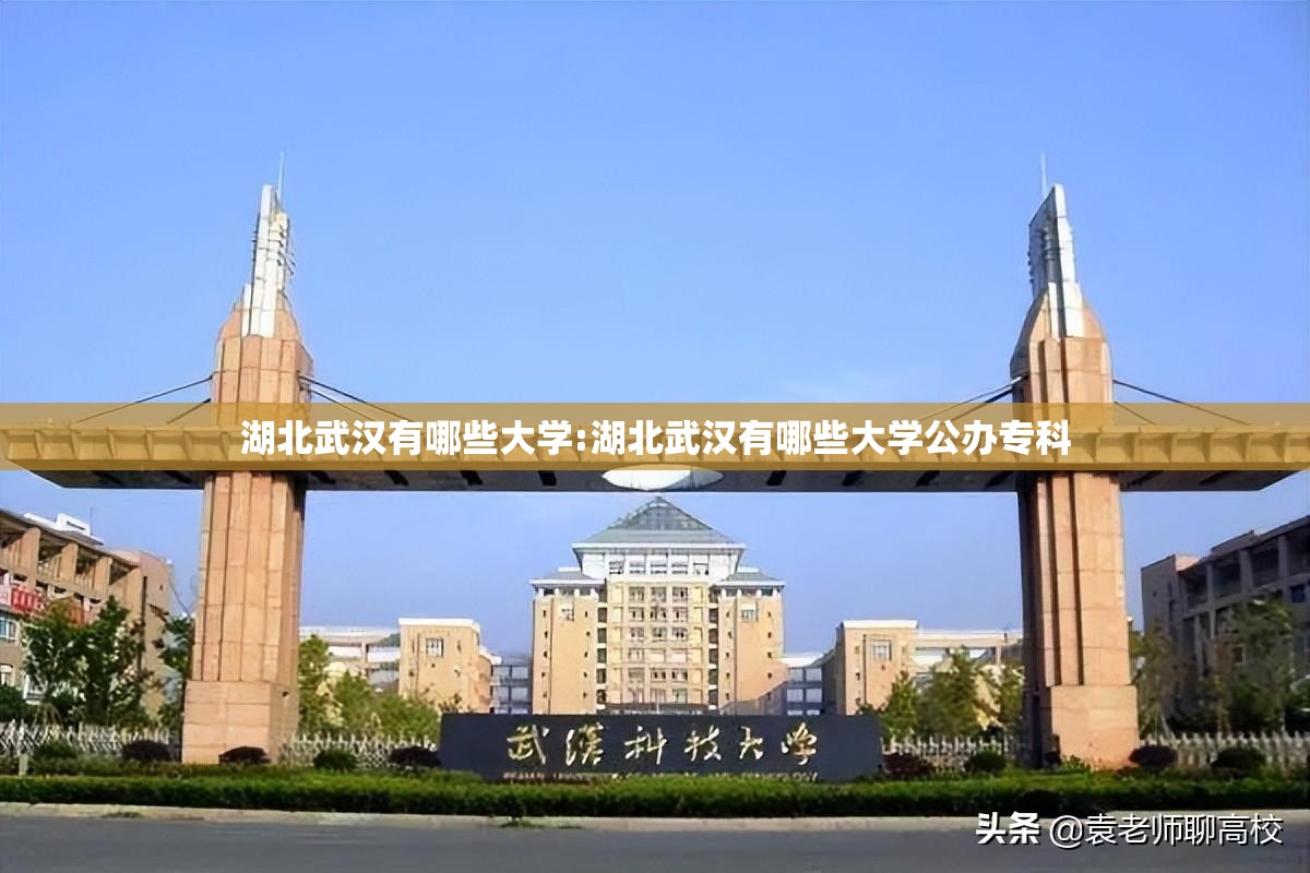 湖北武汉有哪些大学:湖北武汉有哪些大学公办专科 湖北武汉有哪些大学:湖北武汉有哪些大学公办专科