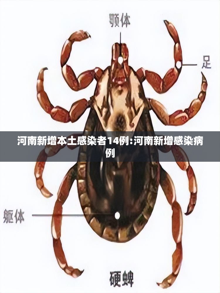 河南新增本土感染者14例:河南新增感染病例