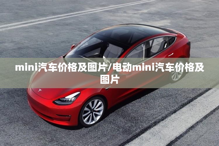 mini汽车价格及图片/电动mini汽车价格及图片