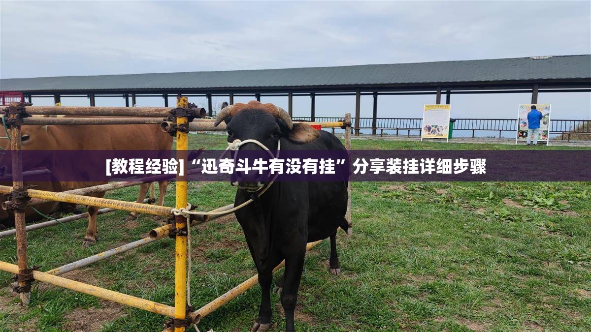 [教程经验]“迅奇斗牛有没有挂	”分享装挂详细步骤
