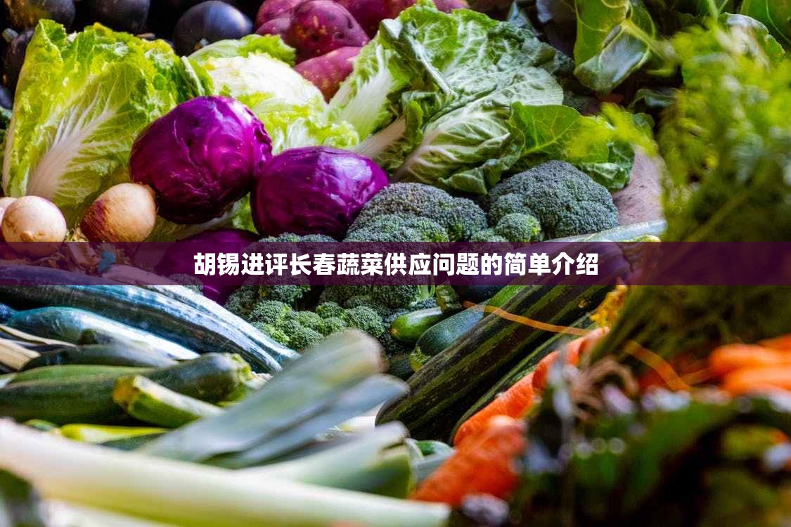 胡锡进评长春蔬菜供应问题的简单介绍