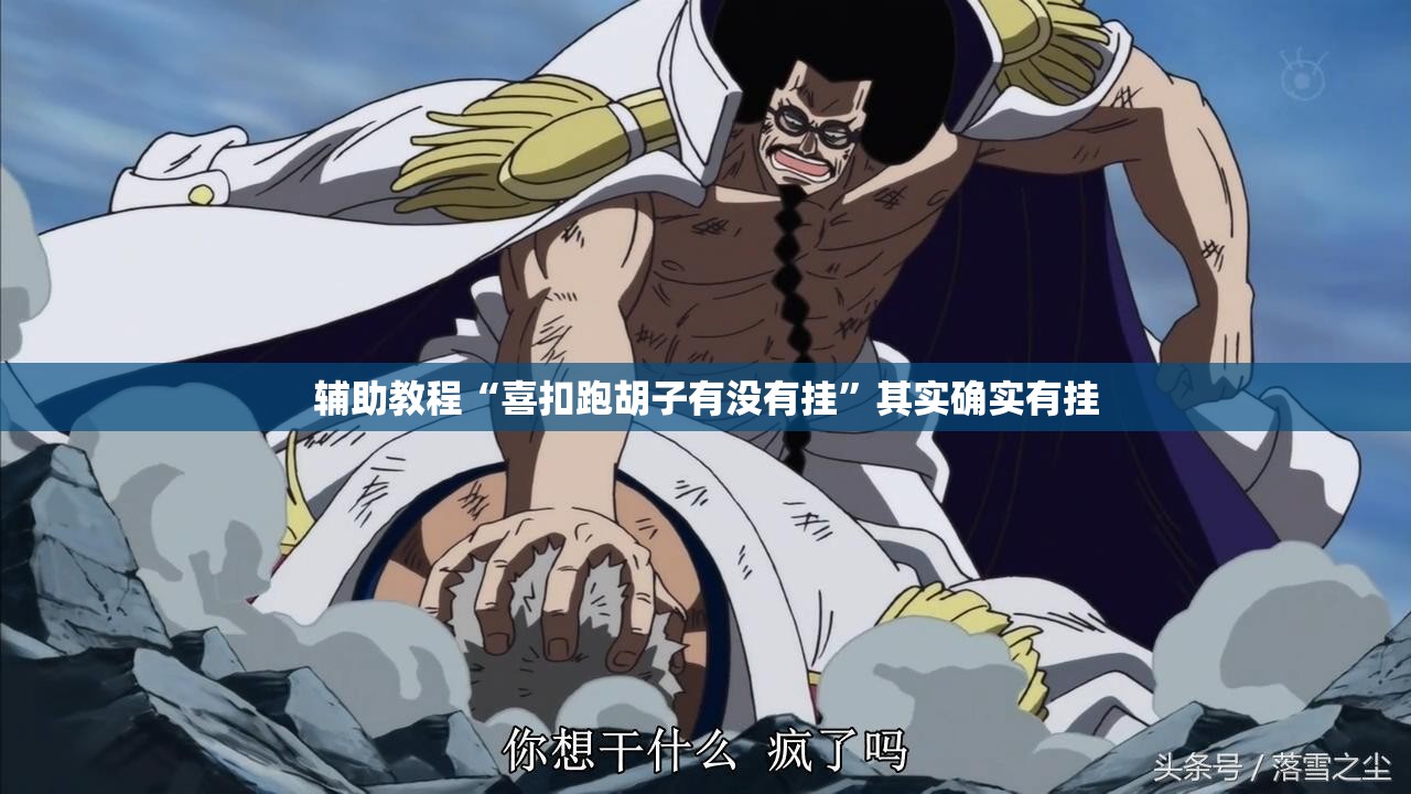辅助教程“喜扣跑胡子有没有挂”其实确实有挂