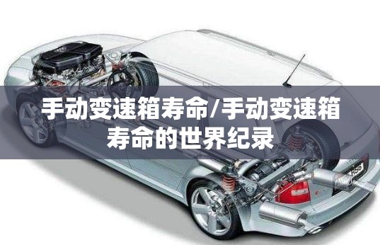 手动变速箱寿命/手动变速箱寿命的世界纪录