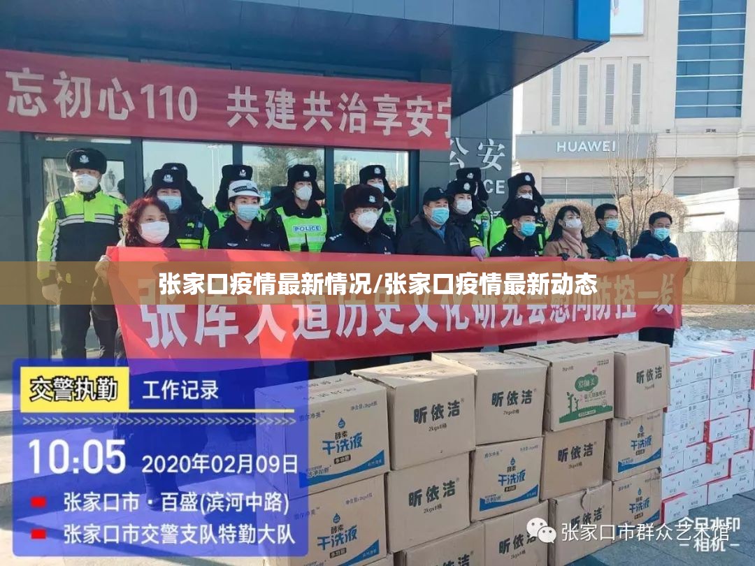 张家口疫情最新情况/张家口疫情最新动态