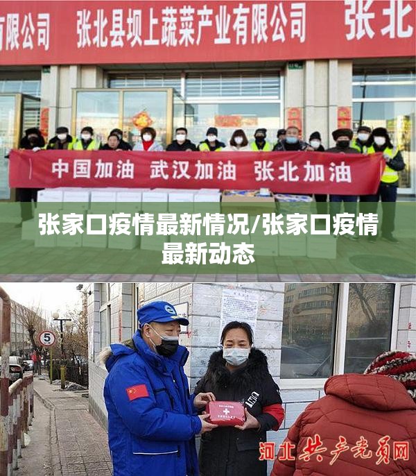 张家口疫情最新情况/张家口疫情最新动态