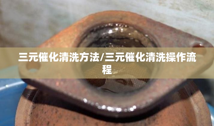 三元催化清洗方法/三元催化清洗操作流程 三元催化清洗方法/三元催化清洗操作流程