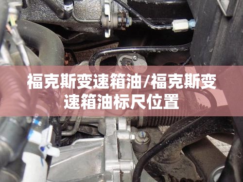 福克斯变速箱油/福克斯变速箱油标尺位置 福克斯变速箱油/福克斯变速箱油标尺位置
