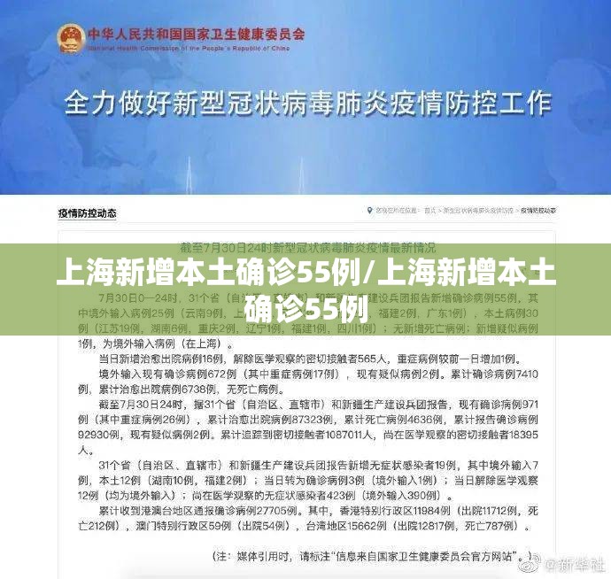 上海新增本土确诊55例/上海新增本土确诊55例 上海新增本土确诊55例/上海新增本土确诊55例