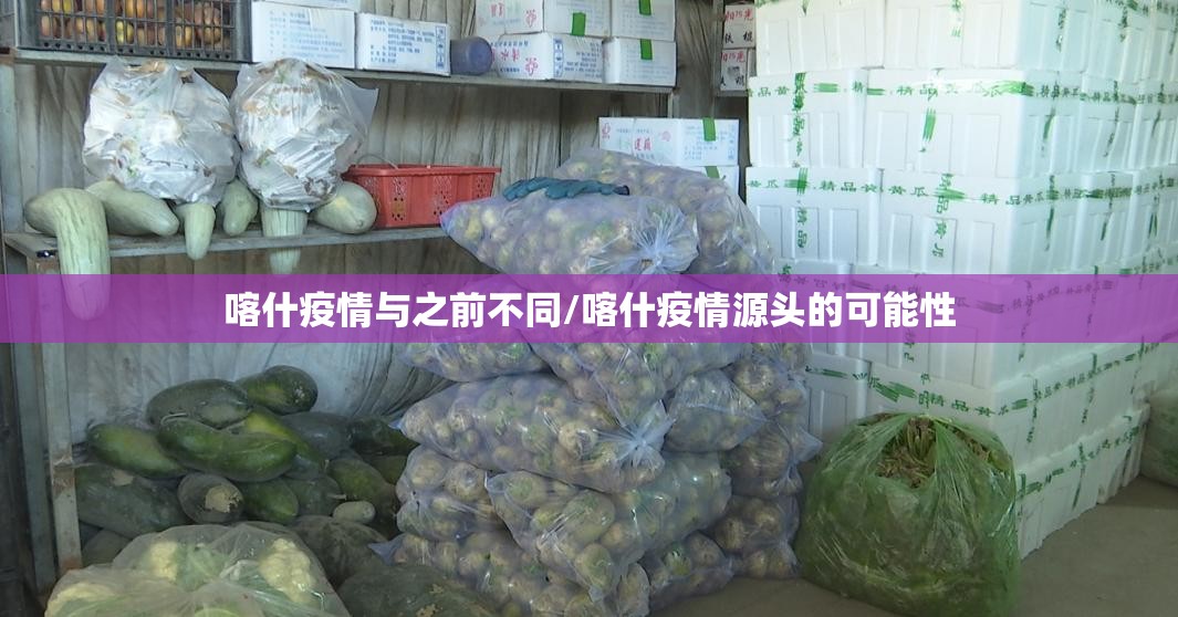 喀什疫情与之前不同/喀什疫情源头的可能性