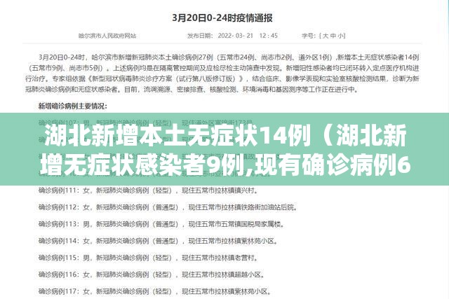 湖北新增本土无症状14例（湖北新增无症状感染者9例,现有确诊病例6例）