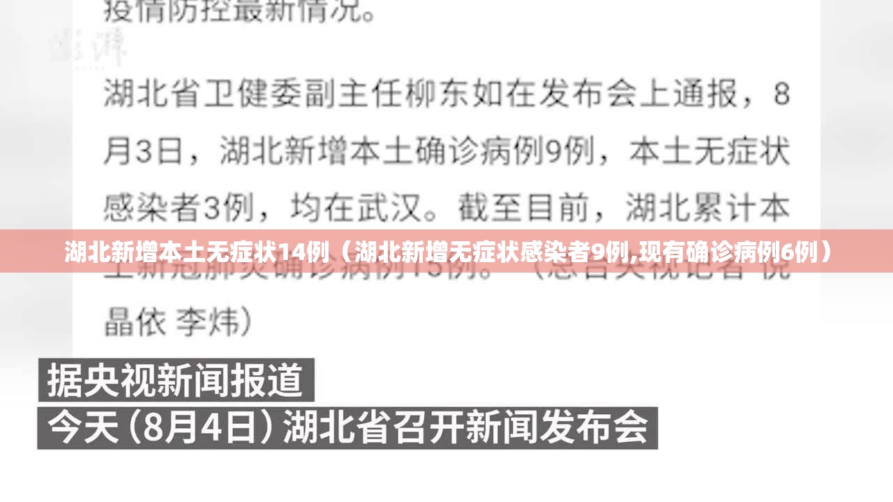 湖北新增本土无症状14例（湖北新增无症状感染者9例,现有确诊病例6例）