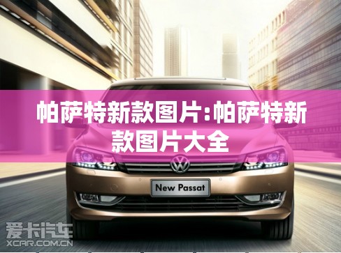 帕萨特新款图片:帕萨特新款图片大全