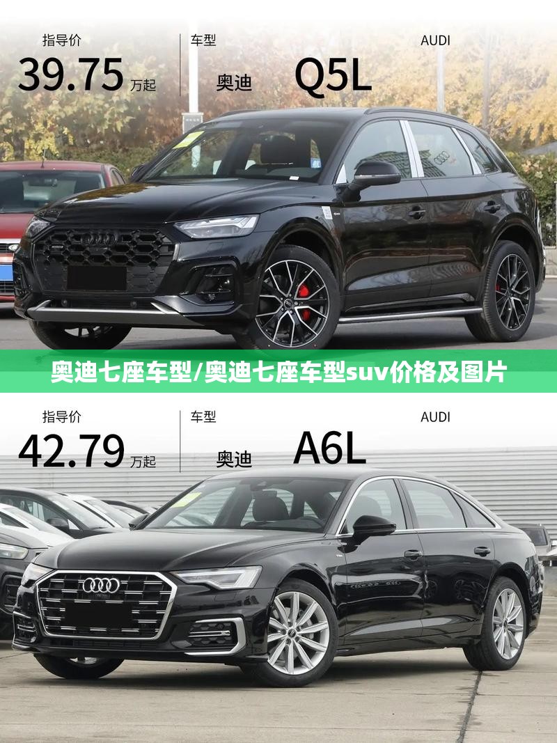奥迪七座车型/奥迪七座车型suv价格及图片