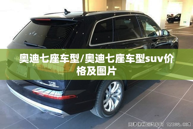 奥迪七座车型/奥迪七座车型suv价格及图片